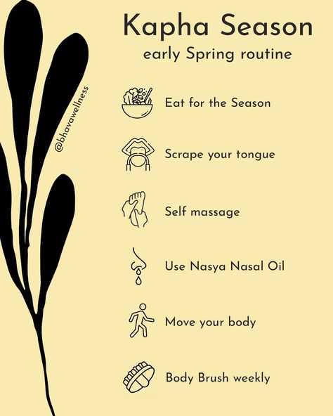 In Ayurveda, we call this special time 🌱 Kapha Season - when us and the land are slowly reawakening after a long Winter slumber. The cold, dry and slow hibernation that Winter (aka Vata Season) accumulates both in the environment and in our bodies makes us feel the urge to counter-balance those effects as 🦋 Spring arrives. As we welcome the new Season, we begin to see and feel that in order to balance the heavier, denser, thicker and oilier effects of Kapha Season, we must lighten, 🌀 clear ... Ayurveda Winter, Vata Season, Ayurveda Kapha, Counter Balance, Ayurvedic Massage, Plant Medicine, Self Massage, Move Your Body, Body Brushing