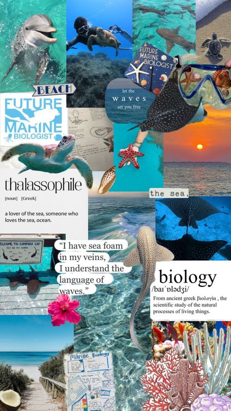 #biology #marinebiology #ocean #aesthetic #beach #oceanlife Summer Athstetic, Oceanography Marine Biology, Ocean Life Photography, Summer Prints Wallpaper, Wildlife Biologist, College Majors, Cute Summer Wallpapers, Ocean Aesthetic, Marine Biologist