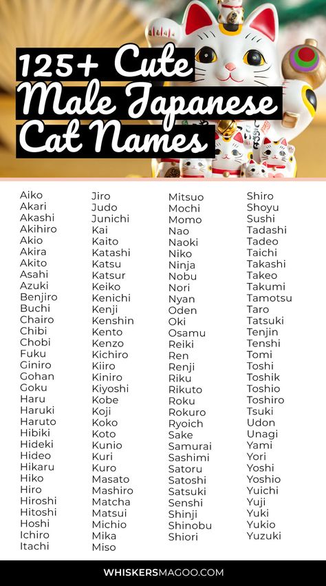 125+ Cute Male Japanese Cat Names (With Meanings) - Are you looking for a cute Japanese cat name for your male cat? Look no further! From Chibi to Mochi, Akito, Yoshi, and many more, check out over 125 cute male Japanese cat names with meanings right here! #catnames Japanese Ideas Name, Japanese Names For Pets, Cute Japanese Pet Names, Japanese Cute Name, Aesthetic Japanese Names With Meaning, Cute Japanese Nicknames, Male Username Ideas, Japanese Names For Cats, Oc Names Ideas Japanese