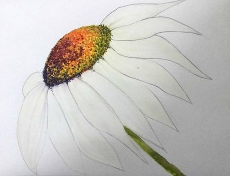 Step by step guide on how to paint a daisy using Derwent Inktense blocks and pencils by Clare Wheeldon | Derwent Inktense Pencils Art, Paint A Daisy, Derwent Pencils, Inktense Pencils, Derwent Inktense, Irregular Patterns, Flower Center, Step By Step Guide, Colorful Drawings