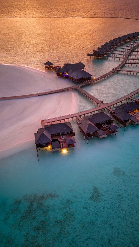 The Best Maldives Honeymoon Escapes, From Overwater Villas to Hidden Treehouses | Condé Nast Traveler Honeymoon Asthetic, Maldives Tour, Big Swimming Pools, Maldives Hotel, Maldives Honeymoon, Visit Maldives, Dream Honeymoon, Honeymoon Hotels, Maldives Resort