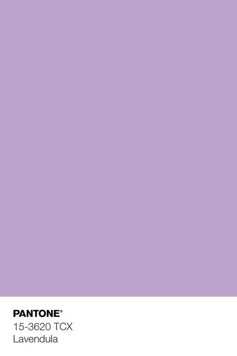 Purple Aesthetic Color Pallete, Paramochy Purple, Purple Pantone Shades, Light Purple Pantone, Pantone Purple Shades, Pantone Colors Purple, Purple Color Swatch, Color Purple Aesthetic, Lavender Color Wallpaper