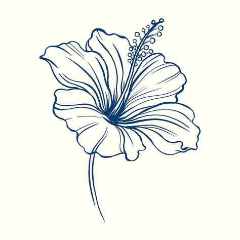 Hibiscus flower sticker, blue vintage botanical illustration psd | free image by rawpixel.com / ton Hibiscus Flower Sticker, Hibiscus Drawing, Hibiscus Flower Drawing, Hibiscus Flower Tattoos, Purple Art Abstract, Hibiscus Tattoo, Vintage Botanical Illustration, Doodle Art Flowers, Flower Logo Design