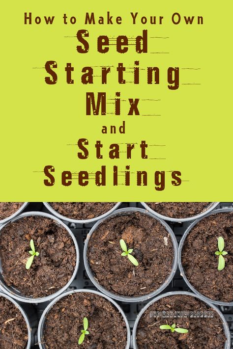 Chicken Composting, Dirt Recipe, Seed Starting Soil, Seed Raising, Grafting Plants, Seedling Pots, Seed Starting Mix, Seed Starter, Diy Raised Garden