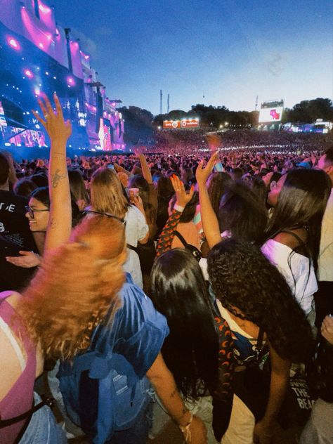 Festival Girl Aesthetic, Rock In Rio Aesthetic, Festival Vibes Aesthetic, Rio Festival, Rio Photos, Aesthetic Rock, Manifesting 2024, Aesthetic Concert, Concert Pictures