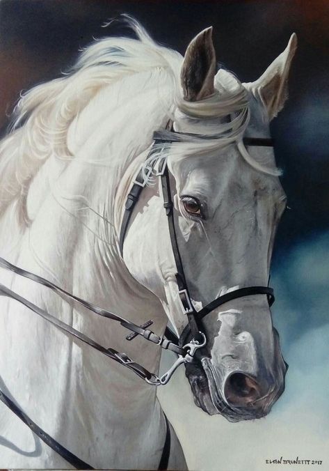 Horse art حصان عربي, Regard Animal, Cai Sălbatici, Beautiful Arabian Horses, Horse Artwork, Most Beautiful Horses, Most Beautiful Animals, Horse Portrait, Animale Rare