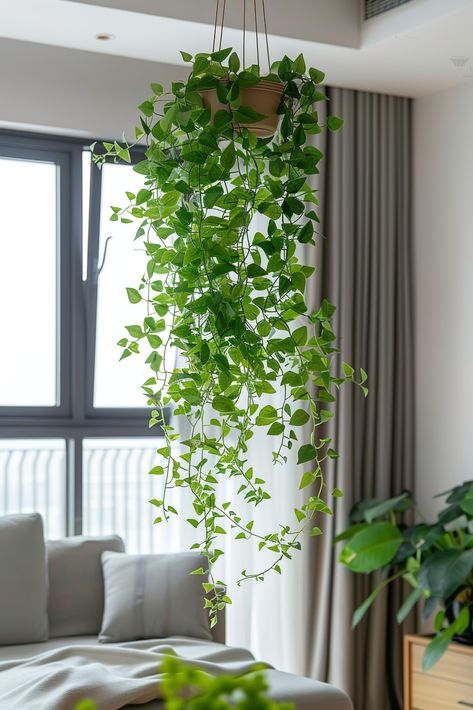 Indoor living space with fresh greenery, featuring lush hanging plants from the ceiling, adding a touch of nature to the modern décor. Hanging Plant Next To Tv, Plants Hanging From Ceiling, Plant Holder Ideas, Ideas For Hanging Plants, Hang Plants From Ceiling, Lunch Wedding, Hanging Indoor Plants, Hang Plants, Fake Hanging Plants