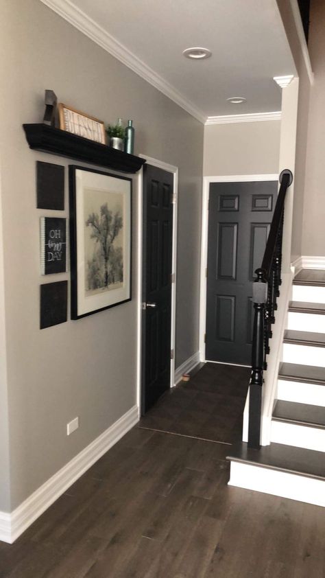 Black Door Interior White Trim, Dark Doors In Hallway, Tan Walls Black Doors, Molding Colors Ideas, White Walls With Black Trim, Black Doors Interior, Dark Interior Doors, Interior Door Colors, Tan Walls