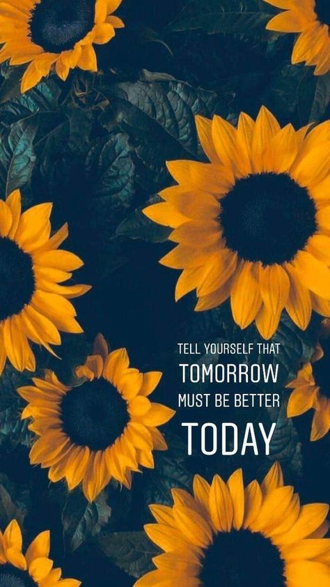 Sunflower Quote Wallpaper, Iphone Wallpaper Original, Sunflower Aesthetic Wallpaper, Sunflower Wallpaper Iphone, Sunflower Iphone Wallpaper, Sunflower Quotes, Iphone Wallpaper Iphone, Positive Quotes Wallpaper, Sunflowers Background