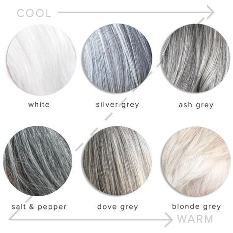 Grey Hair Colour Chart, Pelo Color Ceniza, Shades Of Gray Hair, Natural Grey Hair, Ash Grey Hair, Grey Hair Color Silver, Grey Hair Dye, Grey Hair Transformation, Grey Hair Inspiration