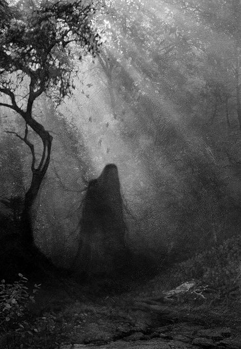 ~ℬℯℓℓℯ~ Hoia Baciu Forest, Shadow People, Haunted Forest, The Boogeyman, Paranormal Activity, Most Haunted, Haunted Places, Ghost Stories, Big Blue