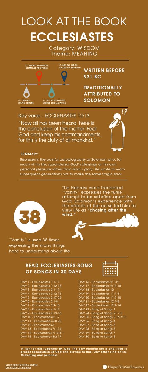 Look at the Book: Ecclesiastes [Infographic] | Bible Gateway News & Knowledge Book Of Ecclesiastes, Ecclesiastes 12, Gods Glory, Books Of The Bible, News Blog, Proverbs, The Bible, Bible Study, Meant To Be