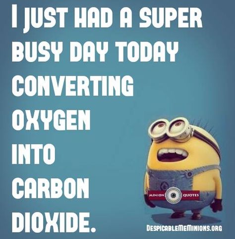 Busy Day Funny Quotes. QuotesGram Lazy Quotes Funny, Lazy Quotes, Quotes Lol, Silly Love Quotes, Funny Love Quotes, Lazy Humor, Funny Minion Pictures, Funny Minion Memes, Minion Jokes