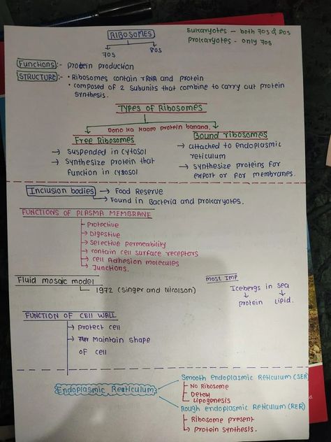 CELL - THE UNIT OF LIFE 🧬⚡️ Redox Reactions, Life Notes, Notes Study, Free Online Learning, Learning Stories, Plasma Membrane, Atomic Structure, States Of Matter, Biology Notes