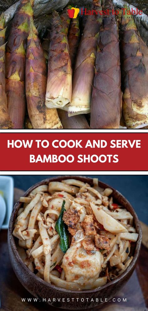 Fresh Bamboo Shoot Recipe, Bamboo Recipe, Bamboo Shoot, Bamboo Shoots, Asian Inspired Recipes, Earthy Scent, Best Side Dishes, Seasonal Ingredients, Chinese Cooking