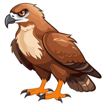 cartoon clipart,hawk clipart,character clipart,hawk,clipart,cartoon,brown,bird,beak,drawing,accipitriformes,terrestrial animal,tail,accipitridae,illustration Hawk Cartoon Drawing, Bird Beaks Drawing, Hawk Cartoon, Beak Drawing, Brown Clipart, Hawk Drawing, Bird Cartoon, Character Clipart, Bird Beaks