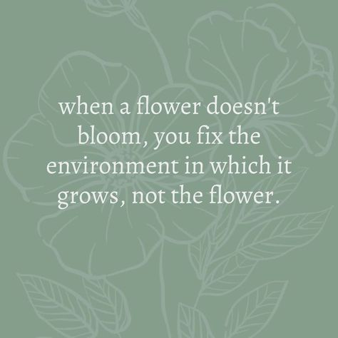 Therapy quote: “Are you a plant lover like me? I have plants in all corners of my home! ⁠ ⁠ Sure, some haven't done so well but others are thriving, why?…” Buy Me Plants And Tell Me Im Pretty, Gardening Therapy Quotes, Plants Lover Quotes, Water Your Plants Quotes, Plants Are My Therapy, Plant Therapy Quotes, Plant Quotes Life Inspiration, Cute Plant Quotes, Plant Lover Quotes