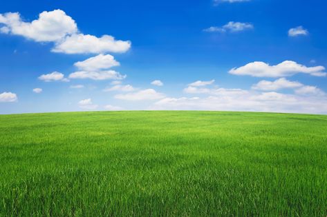 green grass field with blue sky ad white cloud. nature landscape background Background Grass Nature, Sky Pictures Landscape, Grass Background For Editing, Sky Background For Editing, Sky And Grass Background, Nature Photography Landscape Scenery, Nature Background Landscape, Picture Overlay, Grass Picture