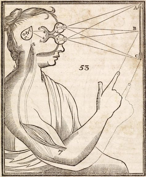 strange vision diagram Rene Descartes, Natural Sleep Aids, Medical Art, Scientific Illustration, Art Graphique, Art Plastique, Of Wallpaper, Sacred Geometry, Philosophy