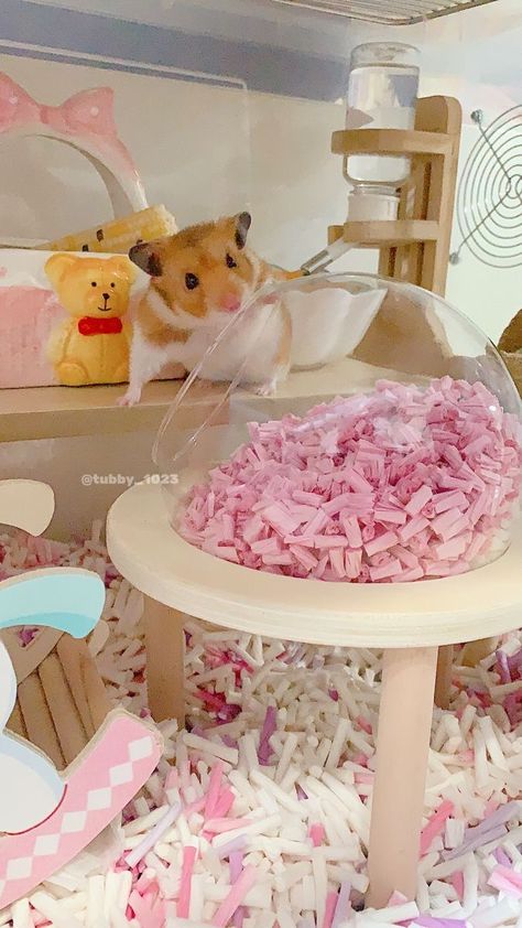 Kawaii Hamster Cage, Pink Hamster Cage Theme, Aesthetic Hamster Cage, Pink Hamster Cage, Hamster Cage Ideas, Pink Hamster, Hamster Ideas, Roborovski Hamster, Aesthetic Project