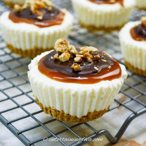 These turtle mini cheesecakes are rich and creamy, and topped with caramel, chocolate, and pecans for a delightful treat. And there's no baking required! Mini Turtle Cheesecake, No Bake Turtle Cheesecake, Turtle Cheesecake Recipe, Mini Cheesecakes Recipe, Turtle Cheesecake Recipes, Mini Turtle, Turtle Cheesecake, Mini Cheesecake Recipes, Mini Treats