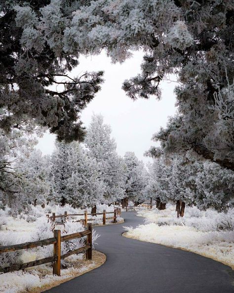 Straight from Oregon.. love this winter coat❄☃ Oregon Winter, Pacific City, S N, Ice Skating, Winter Season, Christmas Lights, Winter Coat, Oregon, Road Trip