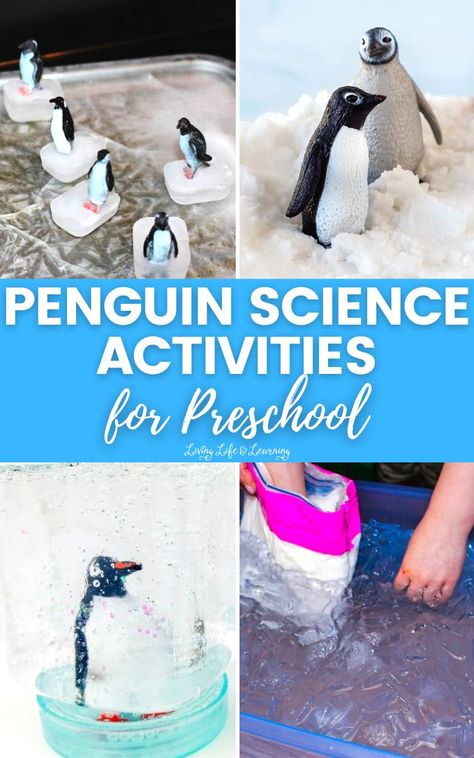 Penguin Science Activities for Preschoolers Penguin Activity Preschool, Penguins Activities For Preschoolers, Penguin Stem Activities For Kids, Preschool Penguin Theme, Penguin Science Experiment, Penguin Stem Activities, Penguin Experiment, Penguin Stem, Penguin Activities For Preschool