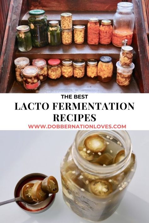 Looking for the best lacto fermentation recipes for beginners? Our easy fermentation guide features healthy recipes for fermented foods that a vegetarian and vegan friendly. Learn to ferment honey, garlic, onions, carrots and jalapeno peppers at home. #LactoFermentation #FermentationRecipes #FermentationForBeginners #VegetarianRecipes #HealthyRecipes Lactofermentation Recipes, Ferment Vegetables, Canning Hot Peppers, Pickled Jalapeno Recipe, Fermented Honey, Recipe For Beginners, Pepper Recipe, Fermented Pickles, Jalapeno Pepper