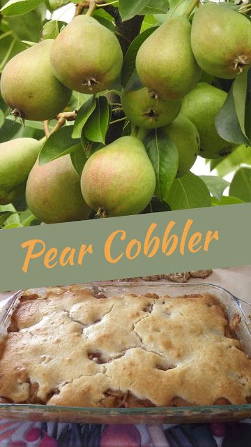 Pear Cobbler With Fresh Pears, Fresh Pear Recipes, Baked Pears Recipe, Pear Cobbler Recipe, Fruit Dumplings, Pear Recipes Easy, Pear Cobbler, Pear Dessert Recipes, Fruits Dessert