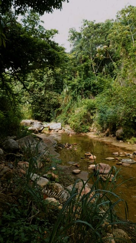 Forest Town Aesthetic, Pennsylvania Forest, Movie Storyboard, River In The Forest, Future Aesthetic, Houses In America, Urban Exploring, River Forest, Flash Fiction