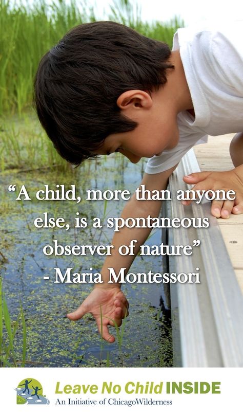 "A child, more than anyone else, is a spontaneous observer of nature" - Maria Montessori Quotes About Children Learning, Educational Quotes For Kids, Human Nature Quotes, Early Childhood Quotes, Maria Montessori Quotes, Citation Nature, Montessori Quotes, Childhood Quotes, Play Quotes