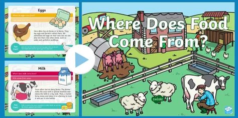 Where Does Food Come From Activities, Powerpoint Teacher, Math Properties, Curriculum Design, Australian Curriculum, Matching Activity, Images And Words, Food Words, Teaching Kindergarten