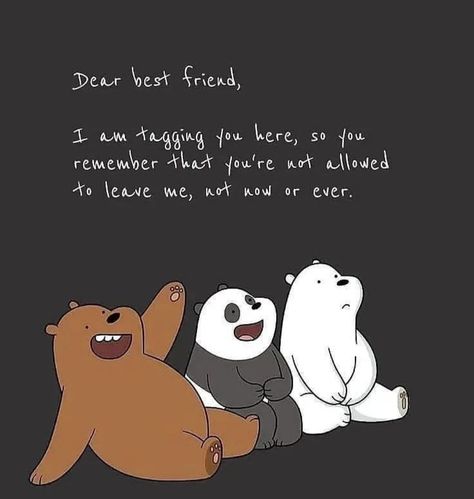 Pandas, We Bare Bears Quotes, We Bare Bears Art, Dear Bestie, Bear Quote, Bear Bears, Best Friend Thoughts, Dear Best Friend, We Bare Bears Wallpapers