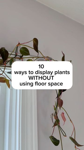 20K views · 1.3K likes | Samantha Hermann on Instagram: "Do you have unique ways to display houseplants? I’d love to hear it in the comments! When you have a lot of plants you have to get creative 😅 All of these work great for people with kids or pets that mess with the plants if they’re on the ground. Remember, light is still so important when we’re putting plants on the walls. You may need to add a grow light if you have a spot you want a plant but the sunlight is low. I have a special discount code that stacks with Amazon discounts right now for my favorite clip light! They’re perfect for plants in tight spaces or for that extra boost of light. Comment ‘light’ and I can send you the link & code. I’ve linked all I can in my Amazon storefront in my bio — if you’d like to shop what y Ways To Organize Plants, Plant Shelves In Front Of Sliding Glass Door, Creative Plant Grow Lights, Unique Houseplant Display, Indoor Plant Wall With Grow Lights, Indoor Plant Display With Grow Lights, Plant Shelf Ideas With Grow Light, Indoor Plant Setup Small Space, Plant Placement In Bedroom