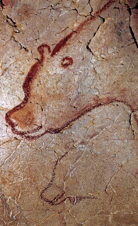 Cave Painting . Chauvet . France Chauvet Cave, Prehistoric Cave Paintings, Paleolithic Art, Cave Painting, Cave Drawings, Cave Bear, Cave Art, Prehistoric Art, Art Ancien