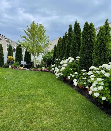 15 Tranquil Landscaping Ideas to Transform Your Outdoor Space Lawn Scaping Ideas, Hoa Approved Garden, Side Home Landscaping, Landscaping Along Side Of House, New England Landscaping Front Yard, Side Of House Walkway, Boxwood Landscaping Front Yard, Neighborhood Landscaping, Front Yard Privacy Landscaping