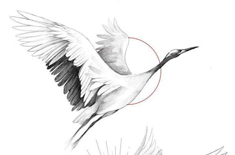 Stork Tattoo Design, Flying Crane Tattoo, Crane Tattoo Japanese, Stork Tattoo, Unique Minimalist Tattoo, Tattoo Crane, Beautiful Spine Tattoos, Heron Tattoo, Mom Dad Tattoo Designs