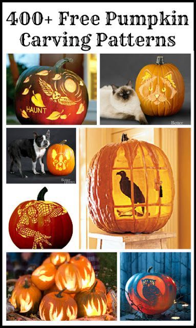 Driven By Décor: 400 Free Pumpkin Carving Patterns & Templates Happy Samhain, Free Pumpkin Carving Patterns, Halloween Carving, Pumpkin Carving Patterns Free, Pumpkin Stencils, Pumpkin Carving Party, Carved Pumpkins, Dog Pumpkin, Pumpkin Carving Designs