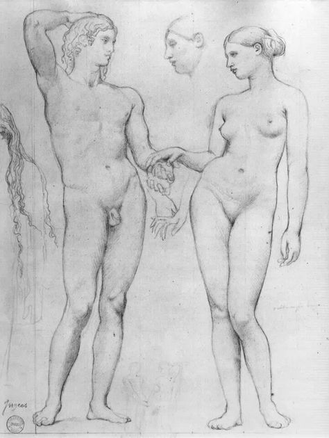 Natural Beauty Jean Auguste Dominique Ingres, Master Drawing, Anatomy Sketches, Gesture Drawing, Anatomy Drawing, Oil Painting Reproductions, The Golden Age, Painting Reproductions, Anatomy Art