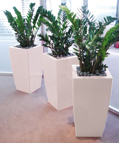 Indoor Plants Stand, Stand Design Ideas, Plant Stand Ideas, Plants Stand, Wall Plants, Interior Design Plants, Flowers Stand, Home Plants, Diy Concrete Planters