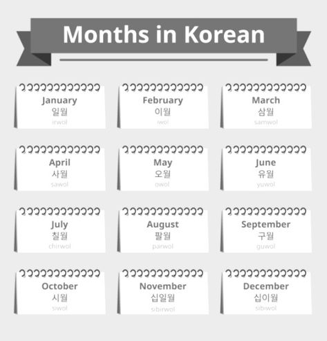 The 12 months of the year in Korean 12 Phrases In Korean, Korean Months Of The Year, Month In Korean, Korean Months, Months In Korean, Korean Flashcards, Name Of Months, Korean Vocab, 12 Months Of The Year