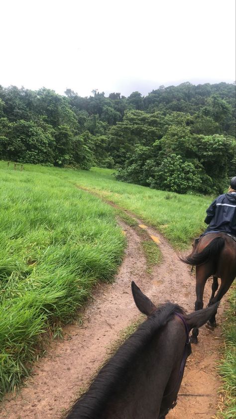 Horse riding trail ride Australia bush forest Horse Riding Trails, Horse Riding In The Rain, Horse Riding Forest, Horse Trail Ride, Horseback Riding Aesthetic, Dark Green Academia, Bucketlist Summer, Riding Aesthetic, Horse Trails