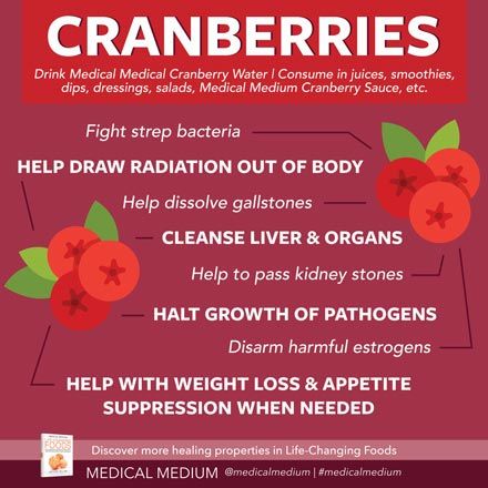 Healing Benefits of Cranberries Benefits Of Cranberries, Cranberry Benefits, Cranberry Drinks, Medium Recipe, Kidney Detox, Healing Waters, Medical Medium, Medical Research, Health Articles