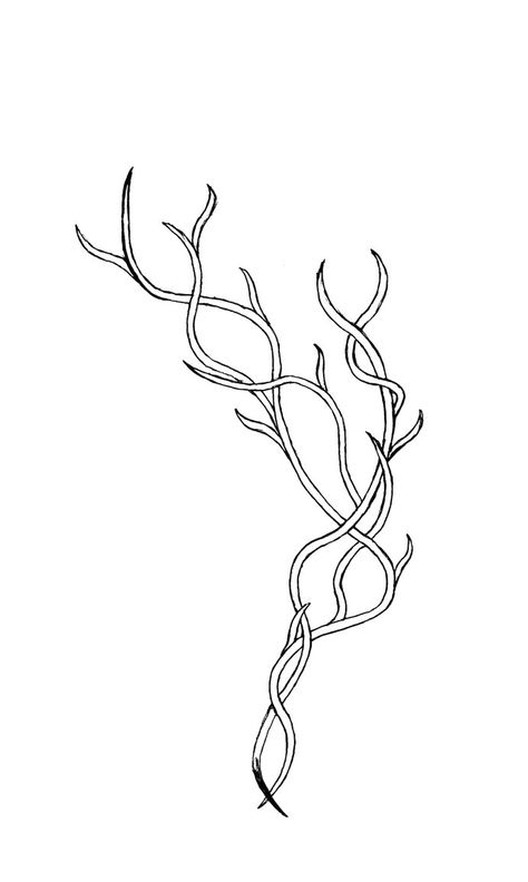 Varient of the vine design by 3pieces-of-chaos Thorn Vine Drawing, Vine Pattern Design, Abstract Vine Tattoo, Vine Illustration Design, Vine Design Drawing, Medieval Line Art, Vines Drawing Reference, Long Vine Tattoo, Vines Outline