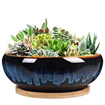 Check this out! Cheap Planters, Shallow Planters, Ceramic Succulent Planter, Iron Planters, Rustic Planters, Ceramic Planter Pots, Large Flower Pots, Ceramic Succulent, Terracotta Plant Pots