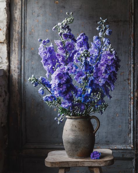 Just delphiniums because I did take rather a lot of photos 💙 I had all sorts of plans to cut, create and capture some flowers from the garden today, but deluges of rain has put a stop to that. Delfinium Flower, Brand Questionnaire, Floral Therapy, Delphinium Flower, Delphinium Flowers, Painting Antique Furniture, Lavender Garden, Uk Photography, Floral Photography