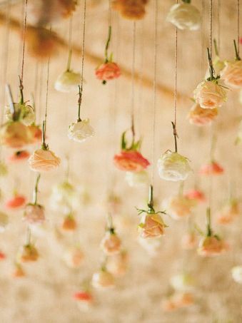 Drop ceiling made from individual rose stems each hanging upside down from a string / thread. Description from pinterest.com. I searched for this on bing.com/images David Jenkins, Hang From Ceiling Decor, Hanging Flowers Wedding, Abbey Wedding, Flower Ceiling, Flower Displays, Hanging Upside Down, Flowers Hanging, Wedding Rentals Decor