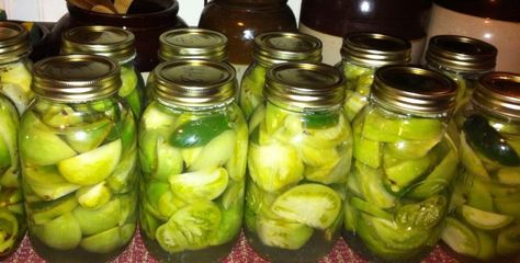 Tomatoes will change from bright green to a dull green after they are processed. Canned Green Tomato Recipes, How To Pickle Peppers, Spicy Salsa Recipe, Tomato Pickle Recipe, Canning Green Tomatoes, Pickled Banana Peppers, Healthier Me, Pickled Green Tomatoes, Pickled Tomatoes