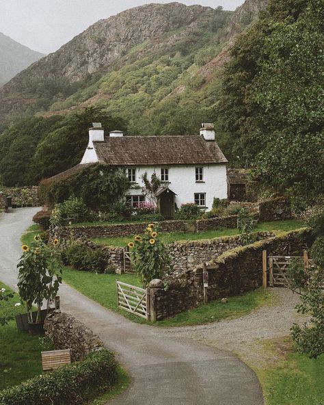 Yellow Sunflowers, Holiday Vibes, Dream Cottage, Sunshine Yellow, Photo Couple, English Cottage, Dream House Exterior, English Countryside, Intp