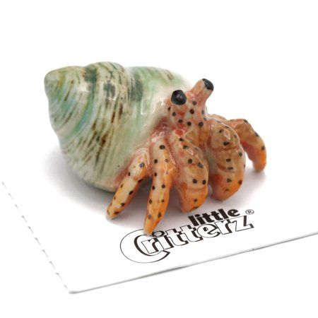 Little Critterz  are adorable, collectible carded miniature porcelain figurines, about 1.75 " high or long depending on the shape of each animal. Each is hand crafted and hand painted by skilled artisans to represent the unique color and detail of each animal. A perfect gift for your friends, family or yourself and a delightful addition to any collection. Packaged in a clear 2" x 2" recyclable plastic collector box. Critter Tailz Fun Fact: "Hermit" Crabs live alone in abandoned sea snail shells Black Tip Shark, American Crocodile, Galapagos Tortoise, Butterfly Fish, Live Alone, Hermit Crabs, Sea Snail, Snail Shell, Red Lobster